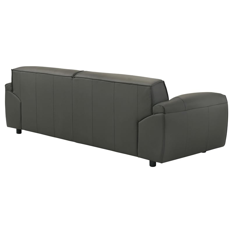 Coaster Buxton Contemporary Padded Top Grain Leather Sofa in Graphite Gray