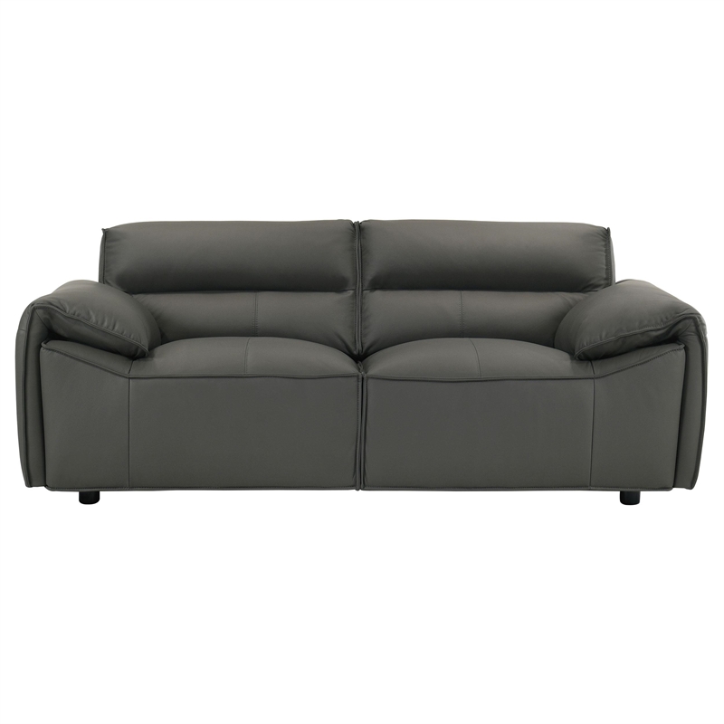 Coaster Buxton Contemporary Padded Top Grain Leather Loveseat in Graphite Gray