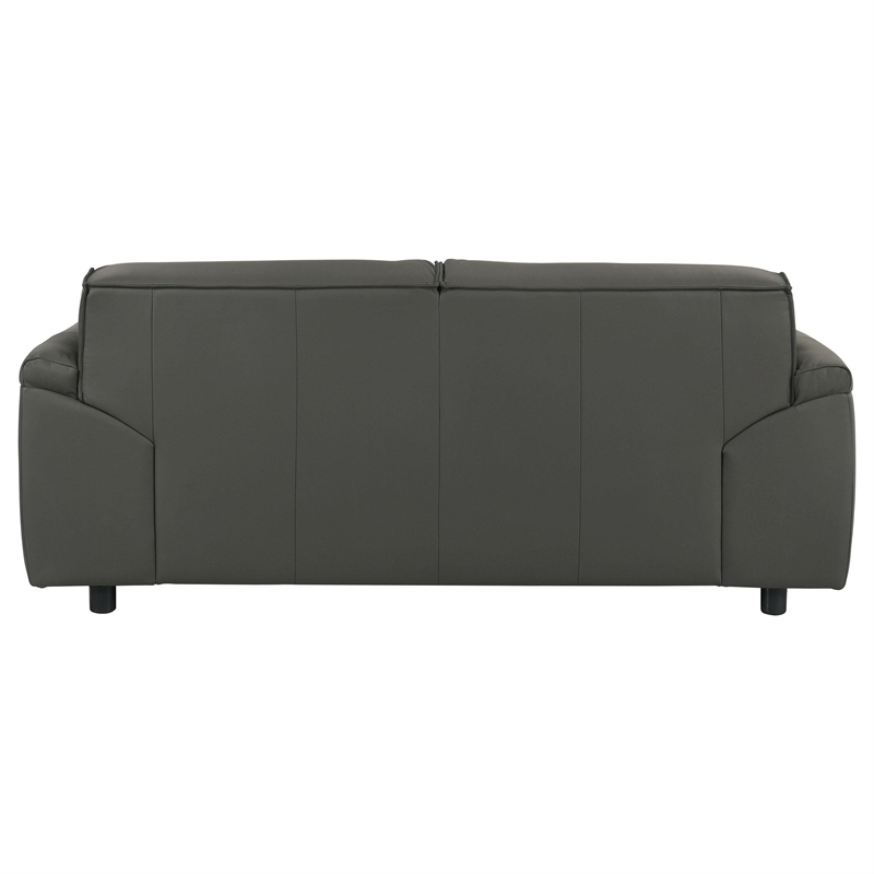 Coaster Buxton Contemporary Padded Top Grain Leather Loveseat in Graphite Gray