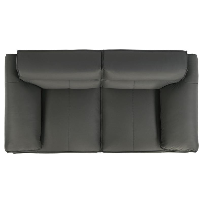 Coaster Buxton Contemporary Padded Top Grain Leather Loveseat in Graphite Gray