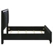 Coaster Ravenne Queen LED Upholstered Velvet Panel Bed in Black