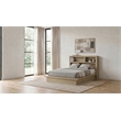 Coaster Hendricks Queen Wood Bookcase Platform Bed in Light Oak