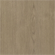 Coaster Aragon Round Panel Base End Table in Latte