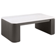 Coaster Lior 2-Piece Rectangular Marble Top Coffee and End Table Set in Charcoal
