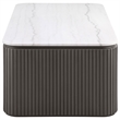 Coaster Lior 2-Piece Rectangular Marble Top Coffee and End Table Set in Charcoal