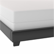 Hillsdale Gayle Nail Head Trim Upholstered Queen Bed Black Faux Leather