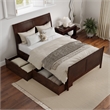 Portland Full Storage Wood Platform Bed with Matching Footboard in Walnut