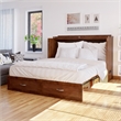 AFI Hamilton Queen Solid Wood Murphy Bed Chest with Mattress in Walnut