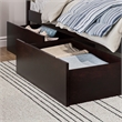 AFI Urban Twin Full Solid Wood Bed Drawers in Espresso (Set of 2)