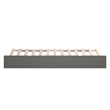 AFI Twin XL Contemporary Solid Wood Contemporary Trundle in Gray