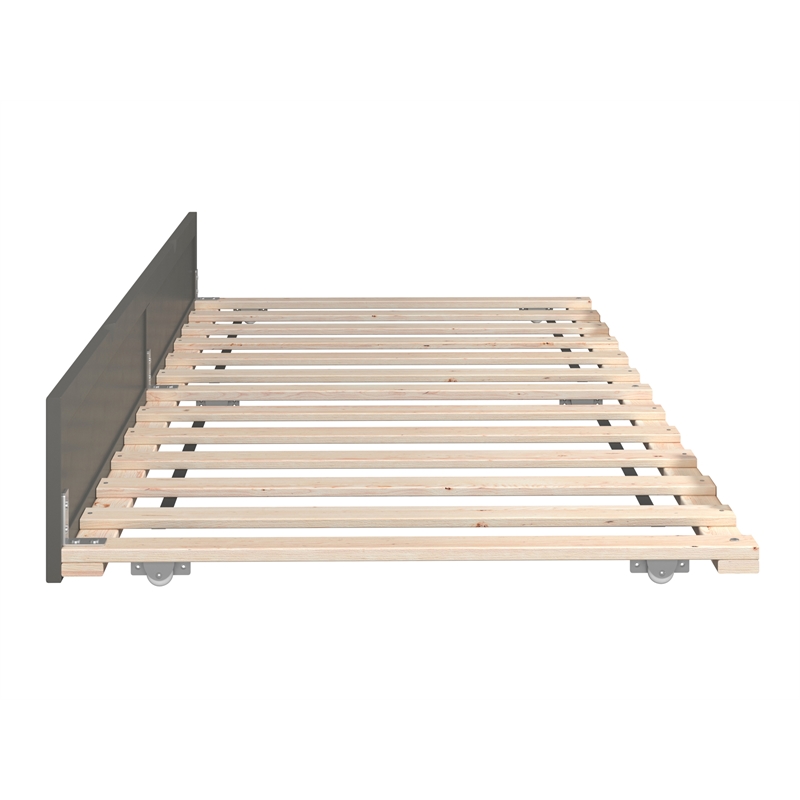 AFI Twin XL Contemporary Solid Wood Contemporary Trundle in Gray