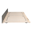 AFI Twin XL Contemporary Solid Wood Contemporary Trundle in Gray
