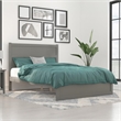 AFI NoHo Farmhouse Wood Queen Bed with Footboard in Grey