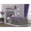 AFI NoHo Wood Twin XL Bed with Footboard/Twin XL Trundle in Grey
