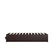 AFI Colorado Modern Wood Twin Bed with Twin Trundle in Espresso