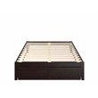 AFI Colorado Modern Wood Full Bed with Foot Drawer in Espresso