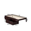 AFI Colorado Modern Wood Twin Bed with 2 Drawers in Espresso