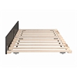 AFI Solid Wood Modern Twin Sized Panel Trundle in Espresso Brown