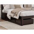AFI Underbed Accessory Modern Wood Drawers in Espresso (Set of 2)