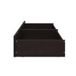 AFI Underbed Accessory Modern Wood Drawers in Espresso (Set of 2)
