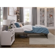 AFI Warren Solid Wood Twin Platform Bed with Footboard in Gray