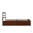 AFI Warren Solid Wood Queen Bed w/ Footboard & Twin XL Trundle in Walnut