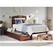 AFI Warren Solid Wood Twin Bed with 2 Storage Drawers in Walnut