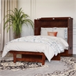 Northfield Twin XL Solid Wood Modern Murphy Bed Chest with Mattress in Walnut