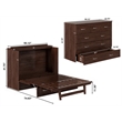Northfield Full Solid Wood Modern Murphy Bed Chest with Mattress in Burnt Amber