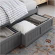 AFI Cambridge Mid-Century Solid Wood Twin Daybed with Set of 2 Drawers in Gray