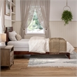 Canyon Twin XL Foundation Bed Frame with Matching Footboard in Walnut