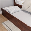 Canyon Twin Wood Platform Bed with Matching Footboard & Twin Trundle in Walnut