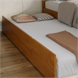 Madison Platform Bed with Matching Footboard & Trundle in Light Toffee