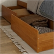 Madison Twin XL Platform Bed with Matching Footboard & Drawers in Light Toffee