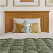 Nantucket Twin Platform Bed with Matching Footboard and Drawers in Light Toffee