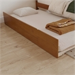 AFI Twin Size Urban Solid Hardwood Trundle Bed in Light Toffee