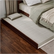 AFI Twin XL Size Solid Wood Mid-Century Modern Trundle in Walnut Brown