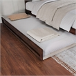 AFI Twin XL Size Solid Wood Mid-Century Modern Trundle in Walnut Brown