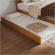 Twin XL Solid Wood Mid-Century Modern Trundle in Light Toffee