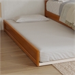 Twin XL Solid Wood Mid-Century Modern Trundle in Light Toffee