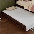 AFI Twin Mid-Century Solid Hardwood Modern Trundle in Walnut Brown