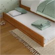 AFI Twin Mid-Century Modern Solid Wood Trundle in Light Toffee
