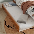 AFI Twin Mid-Century Modern Solid Wood Trundle in Light Toffee