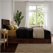 Clayton Twin XL Wood Platform Bed with Panel Footboard & TXL Trundle in Walnut