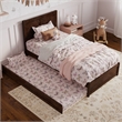 Clayton Twin Wood Platform Bed with Panel Footboard and Twin Trundle in Walnut