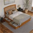 Lucia Queen Platform Bed w/ Panel Footboard & 2 Storage Drawers in Light Toffee
