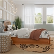 Lucia Twin Wood Platform Bed with Panel Footboard & Twin Trundle in Light Toffee