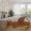 Everett Twin Platform Bed with Panel Footboard & Twin Trundle in Light Toffee