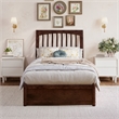 Roslyn Twin XL Platform Bed with Panel Footboard & 2 Storage Drawers in Walnut