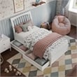Roslyn Twin Platform Bed with Panel Footboard & 2 Storage Drawers in White